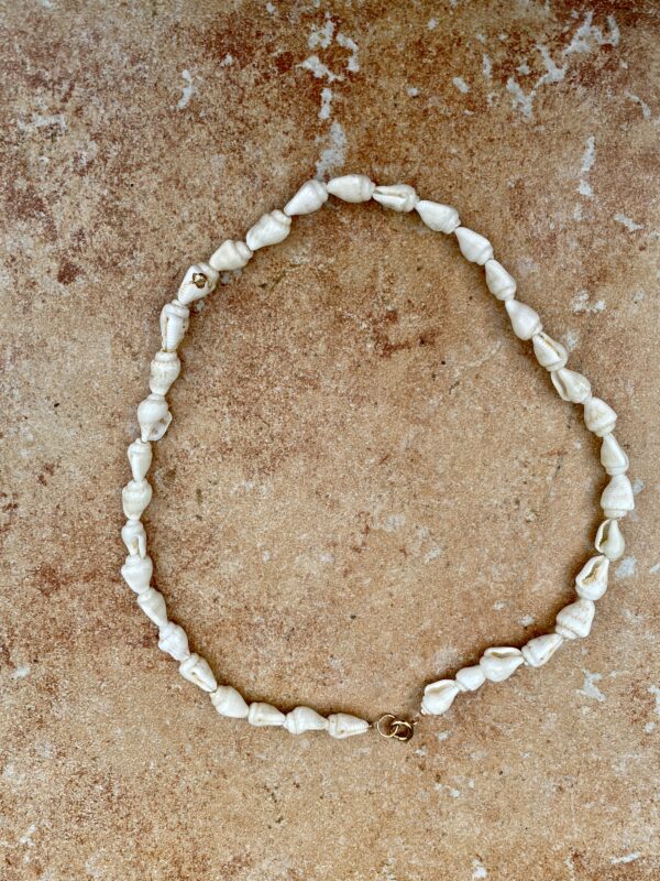 shell necklace